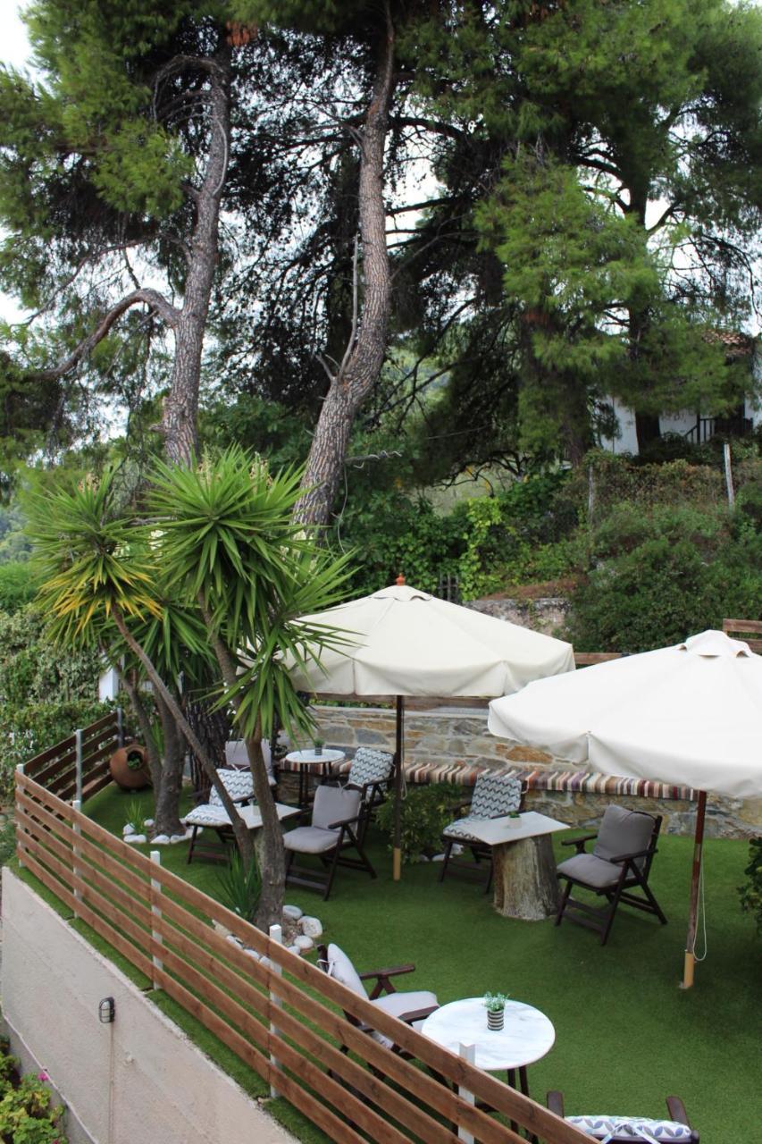 Aparthotel The Pine Trees à Agnontas Extérieur photo